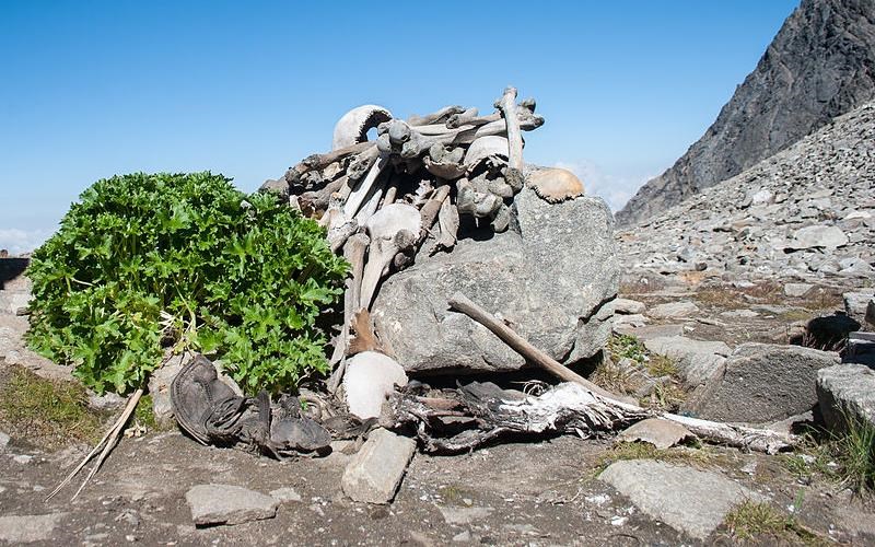 taksidi-se-5-apo-ta-pio-tromaktika-meri-tou-planiti-apo-ta-pio-tromaktika-meri-tou-planiti