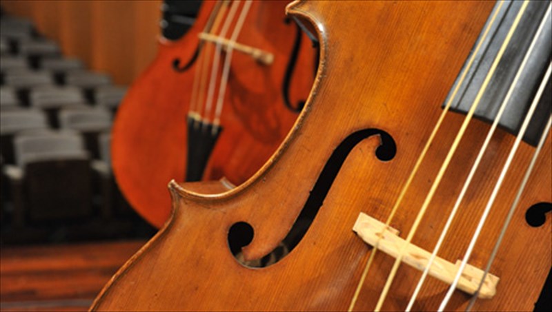 i-omada-xorou-griffon-upo-tous-ixous-tou-mpetoben