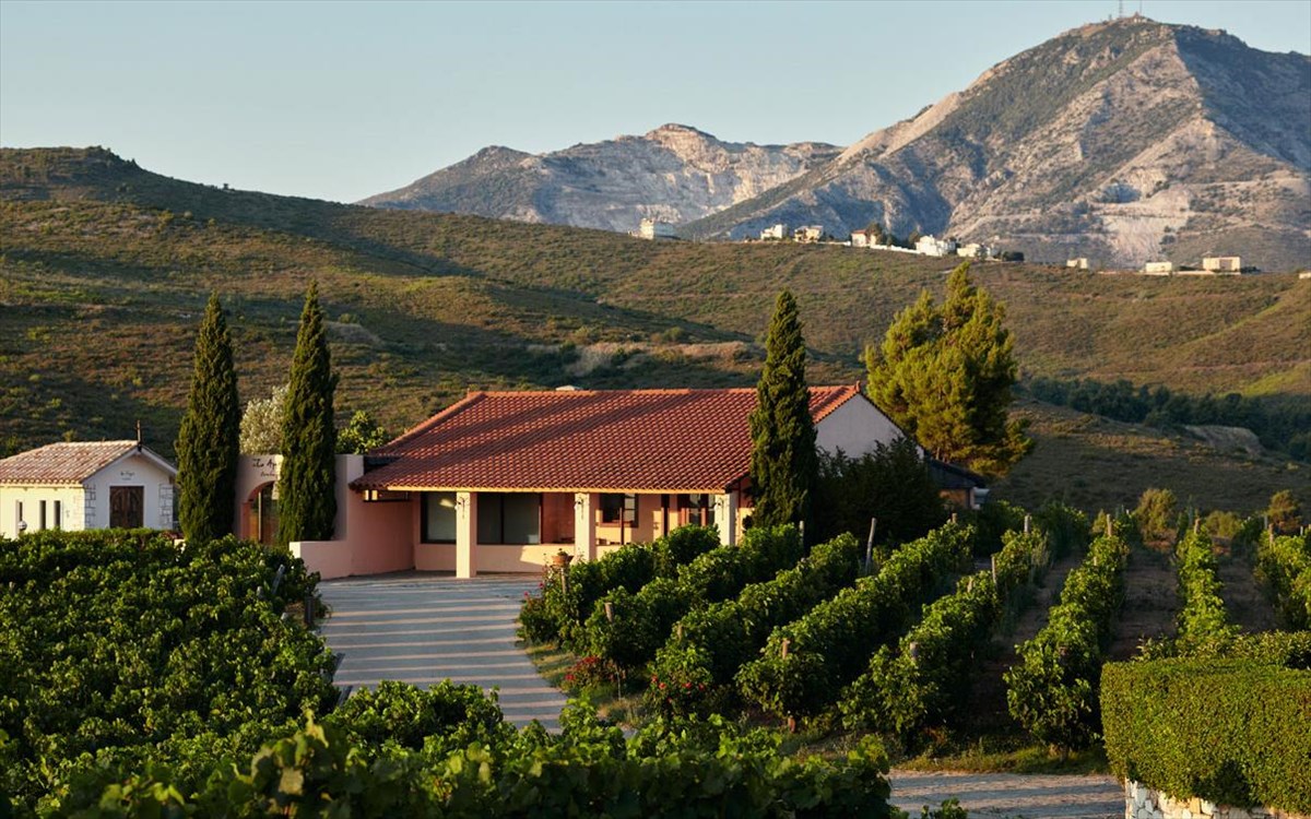 ktima-kokotou-trip2taste