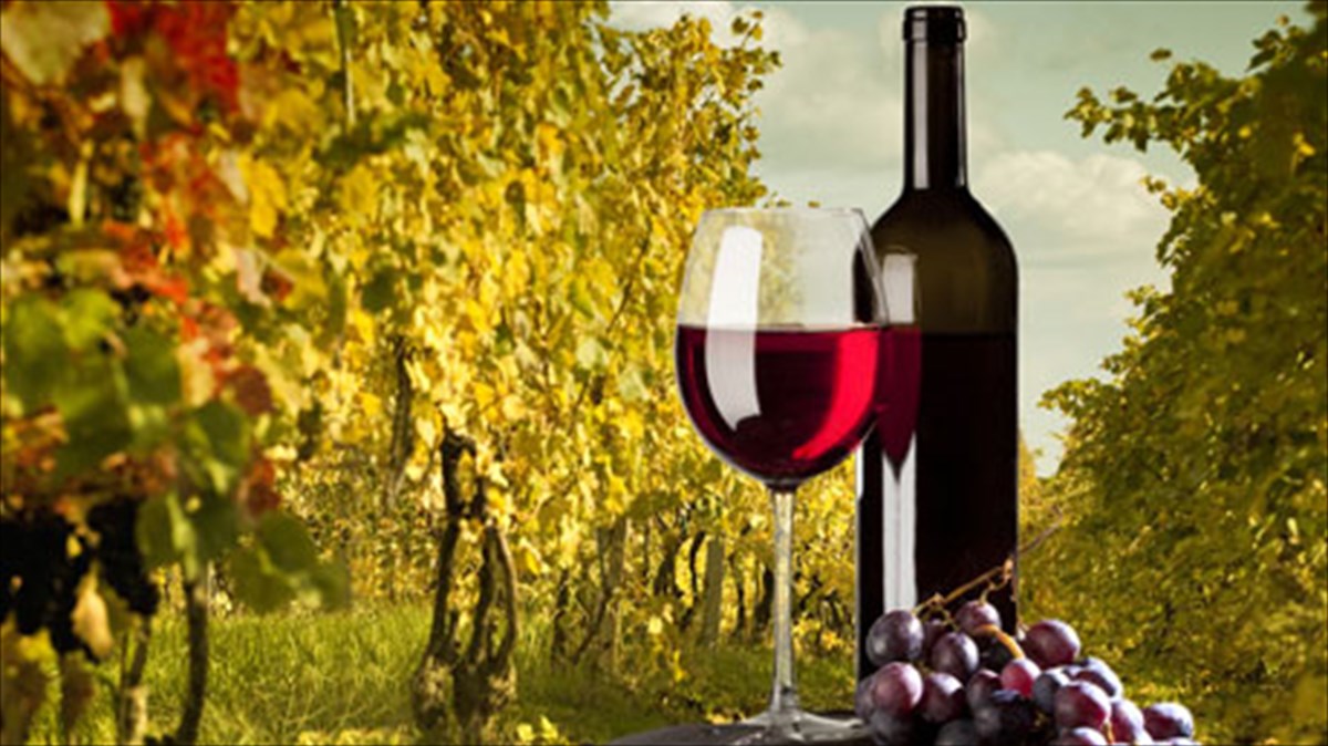 xrisimes-sumboules-gia-eksupni-oinoposia