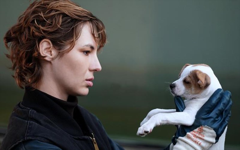 17o-festibal-gallofonou-kinimatografou-ti-na-deite-tin-tetarti-13-apriliou