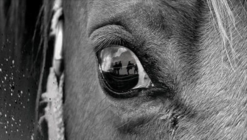 stin-proti-grammi-to-alogo-tou-polemou