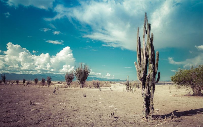 15-pragmata-pou-den-kserate-gia-tis-erimous