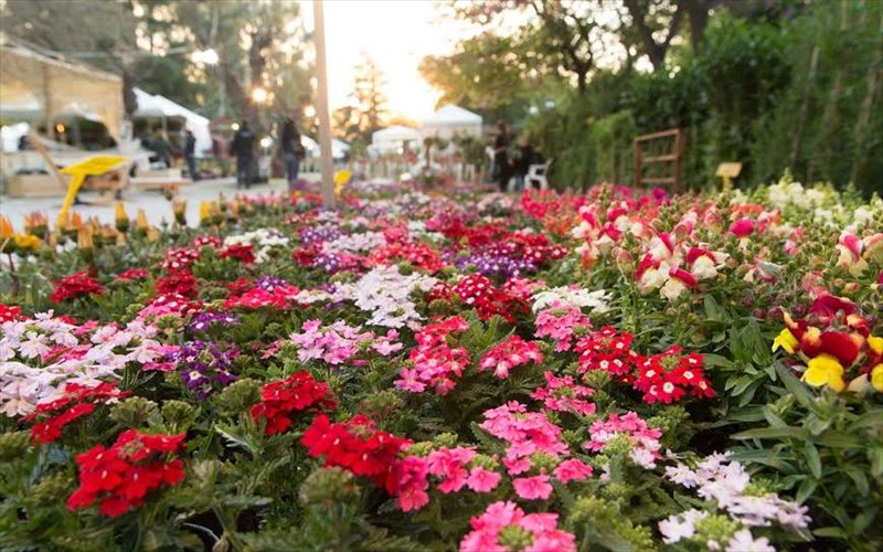 i-62i-anthokomiki-ekthesi-kifisias-eftase-kai-ta-exei-ola