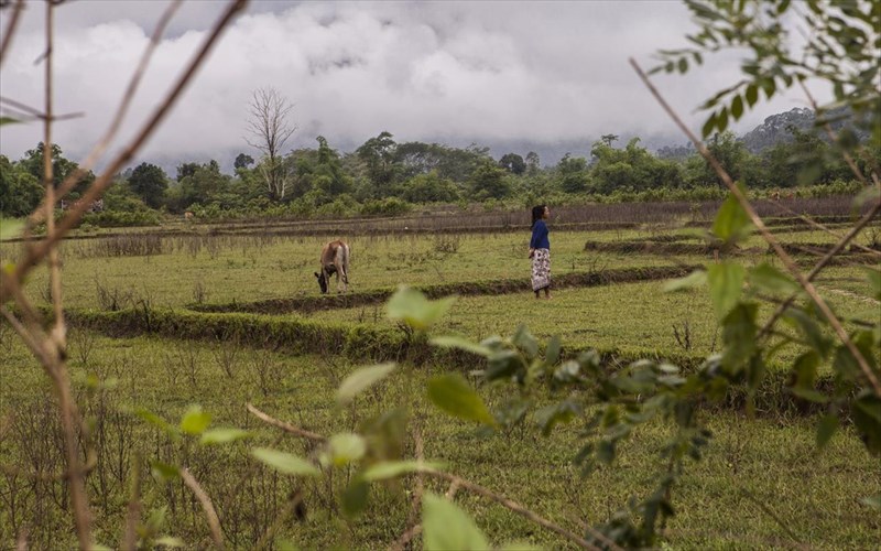 odoiporiko-sti-notioanatoliki-asia-me-ton-fako-tou-manou-fikari