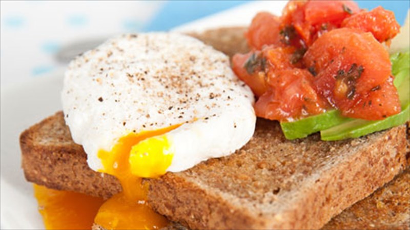 xrisimo-leksiko-gia-tous-latreis-tou-fagitou