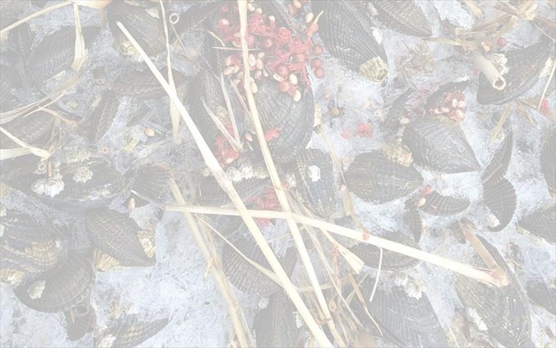 o-diethnous-fimis-gerald-pryor-parousiazei-ti-nea-tou-fotografiki-douleia-stin-gkaleri-7