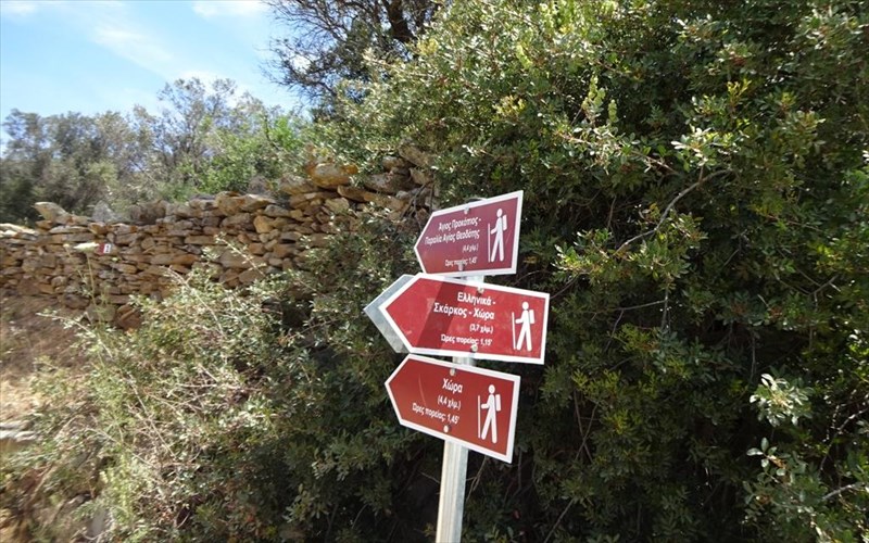 i-ios-ginetai-i-xara-tou-pezoporou-xara-tou-pezoporou