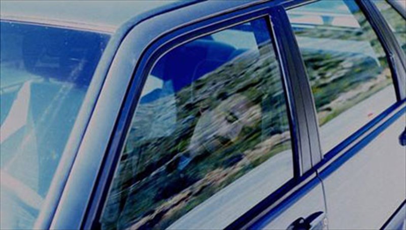 sta-ixni-tou-kunodonta