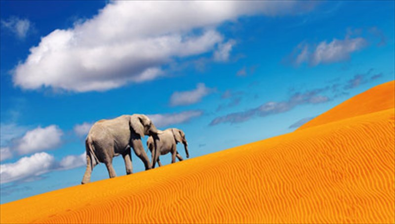 oi-pio-sunarpastikes-erimoi-tou-planiti