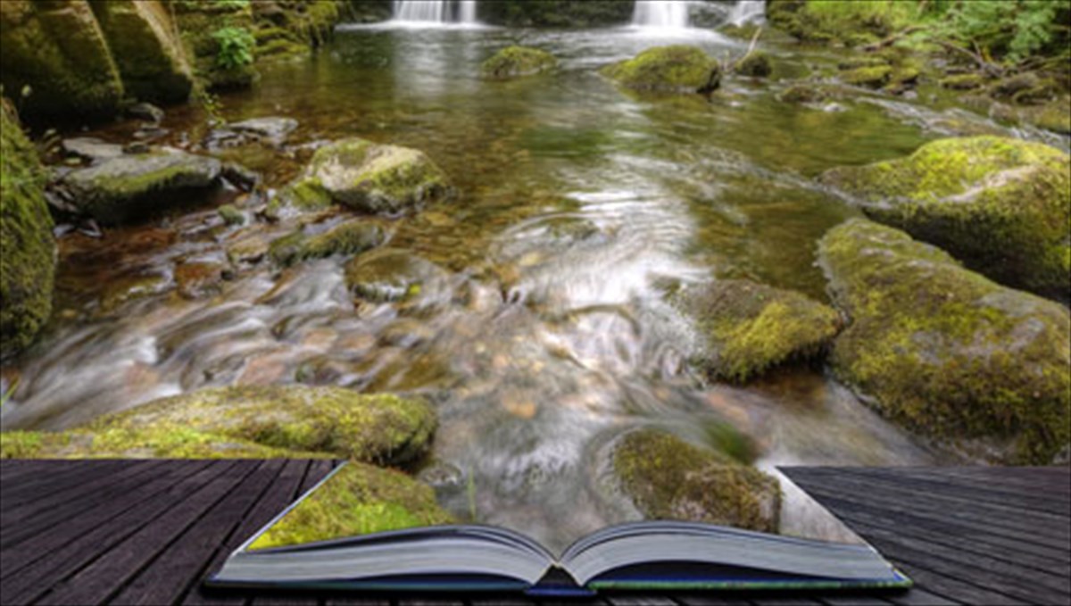 sto-fos-500-agnosta-paramuthia