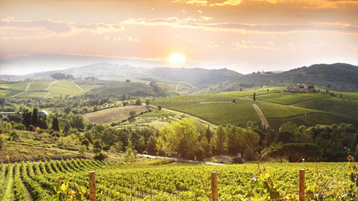 pekino-to-neo-bordeaux-tou-krasiou