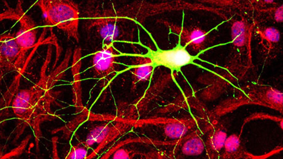 i-epistimi-sunanta-tin-texni-sto-idruma-eugenidou