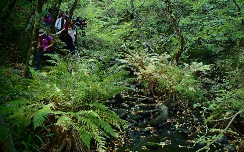 i-zougkla-tis-blaxokerasias-perimenei-tous-active-sundays