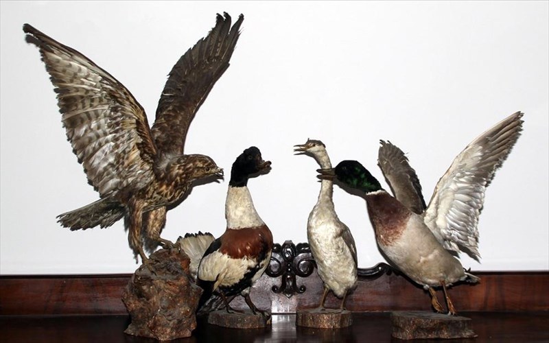 we-are-bud-enas-neos-xoros-texnis-anoigei-tis-portes-tou-sti-geitonia-tou-metaksourgeiou