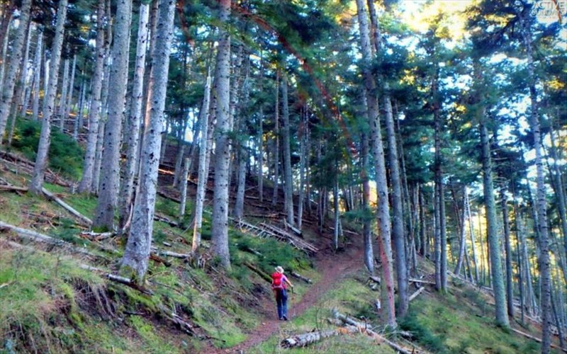 epistrofi-sto-mainalo-me-tous-active-sundays