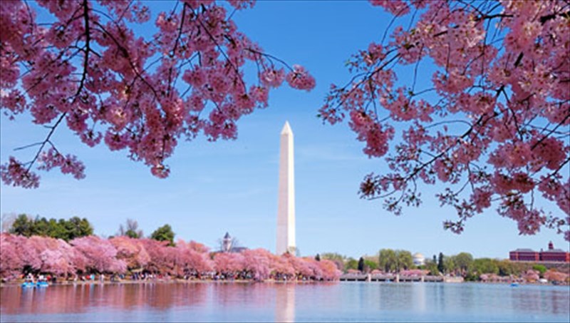 ta-kalutera-meri-ston-kosmo-gia-na-thaumasete-ta-anthismena-louloudia