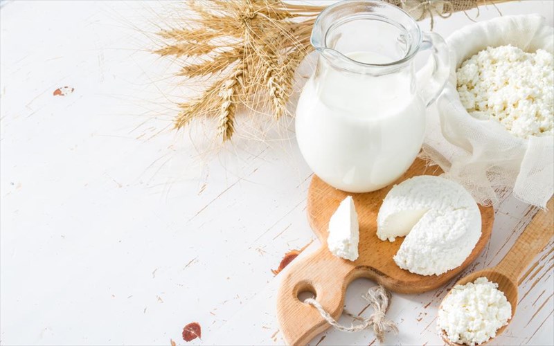 to-4o-festibal-galaktos-kai-turiou-ksekina