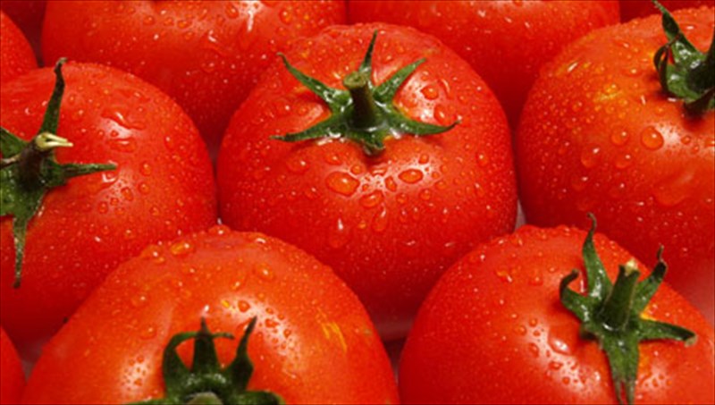 oi-12-trofes-opla-kata-tou-karkinou