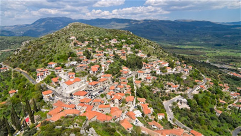 karutaina-i-agria-goiteia-tou-moria-agria-goiteia-tou-moria