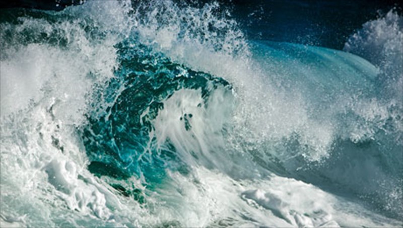 i-anthropini-psuxi-sto-mikroskopio