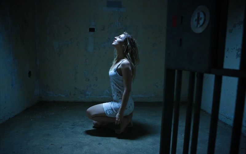 h-angelika-dusk-zontana-sto-idruma-stauros-niarxos