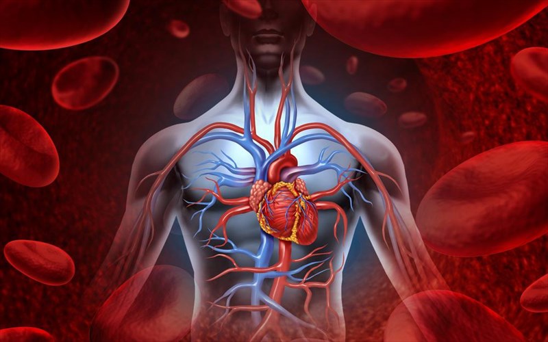 pente-peritta-organa-sto-soma-mas