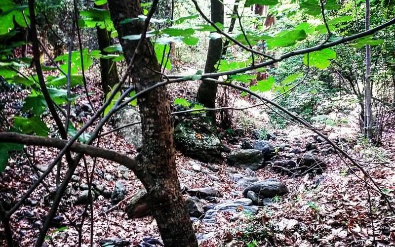 xeimerini-apodrasi-sto-kastori-lakonias