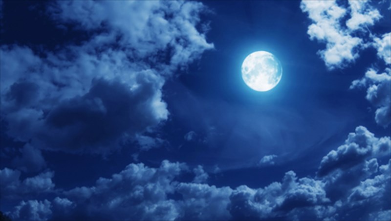 o-virgil-georgiou-kai-i-nekrotita-tis-anthropinis-fusis-nekrotita-tis-anthropinis-fusis