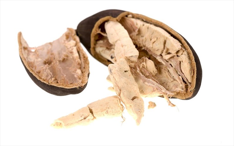 autes-einai-oi-trofes-pou-prepei-na-dokimasete-mesa-sto-2017