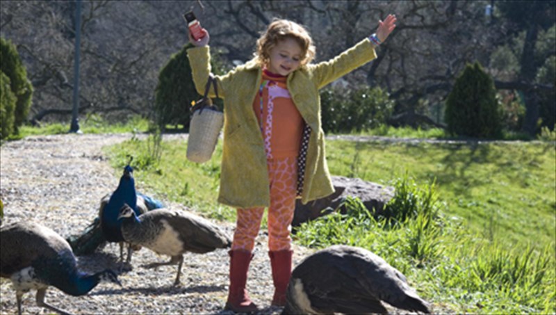 i-pragmatiki-istoria-enos-zoologikou-kipou