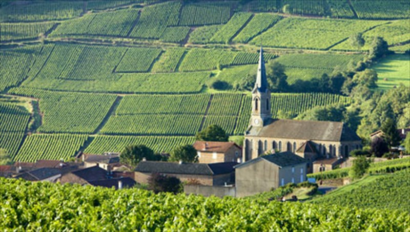 oi-top-10-oinoparagogoi-perioxes-tou-kosmou