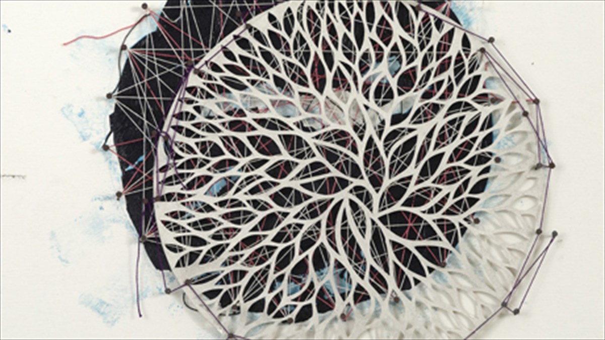 mia-klosti-demeni-sti-gkaleri-tis-ersis