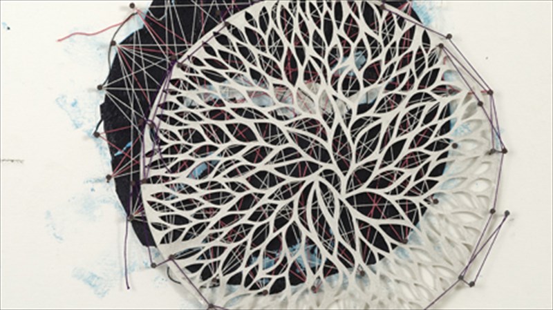 mia-klosti-demeni-sti-gkaleri-tis-ersis