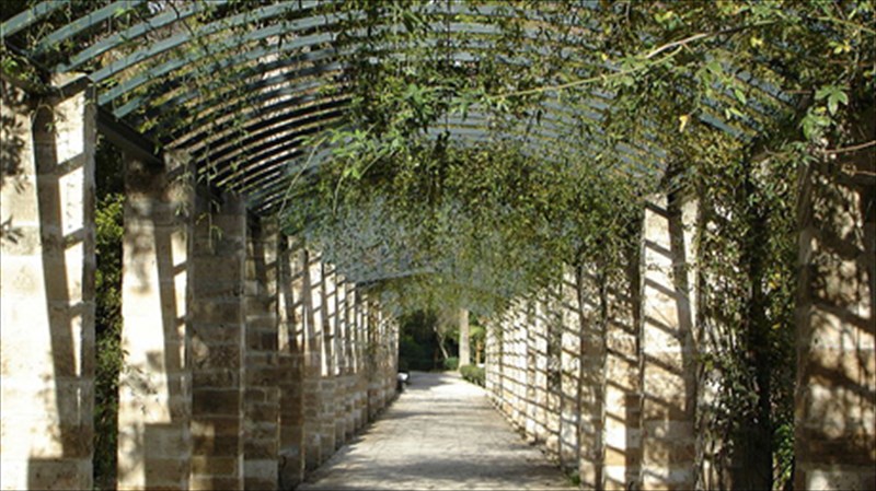 apolauste-ton-kafe-sas-se-10-kipous-tis-polis