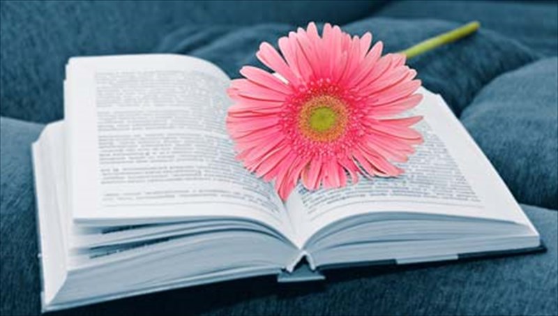 dekaimero-festibal-bibliou-sto-booze