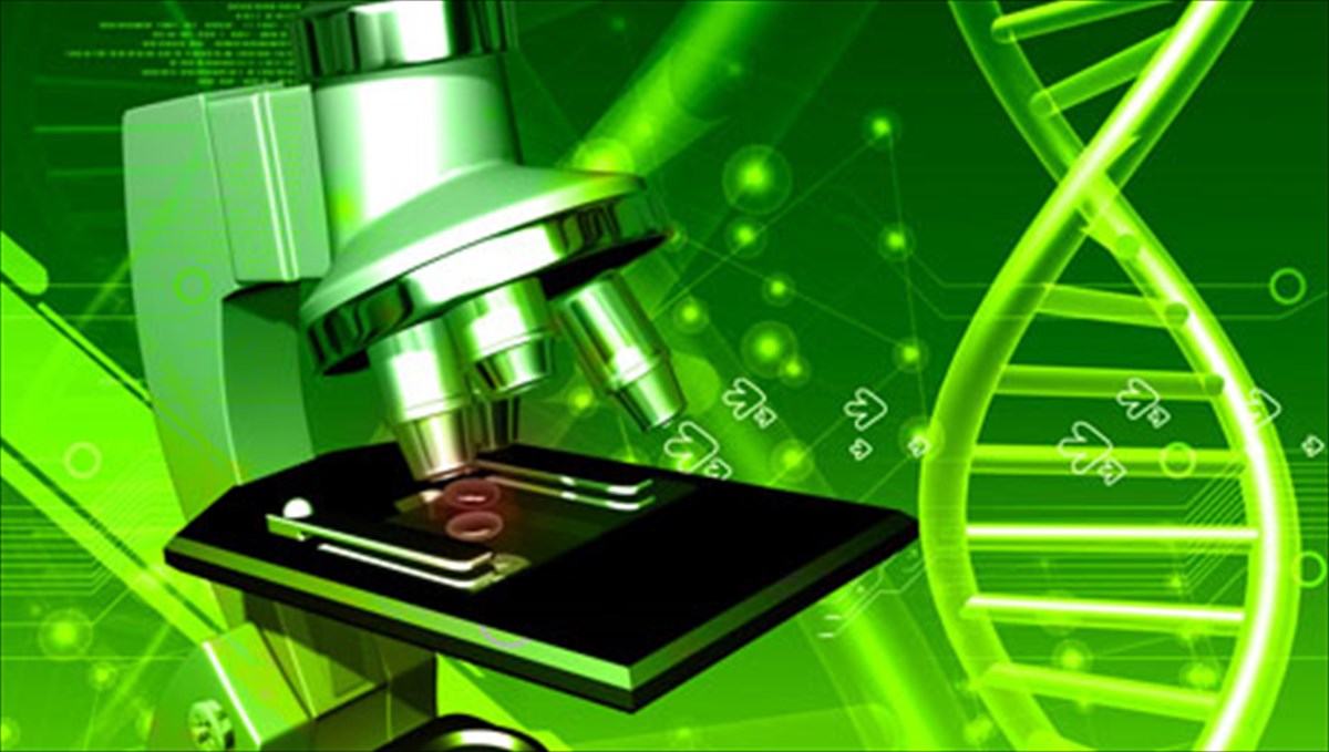 kalliergeies-poso-sumballoun-stin-egkairi-diagnosi-mias-loimoksis