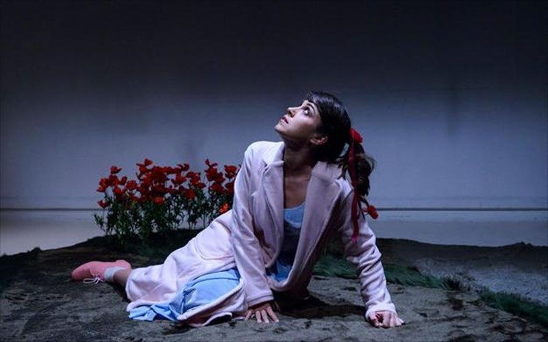 sto-koritsi-tou-lukou-mia-ora-arkei-gia-na-perasei-apo-mprosta-sou-mia-olokliri-zoi