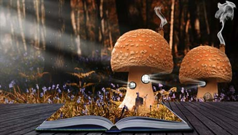 i-mageia-tis-dimiourgou-ton-best-sellers