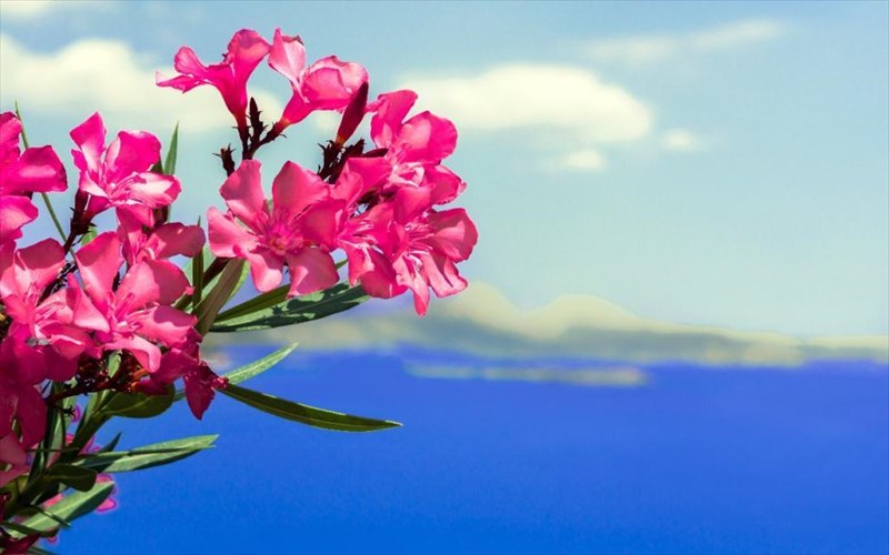 deka-magikes-apodraseis-se-ksenodoxeia-stin-anoiksiatiki-elliniki-fusi-me-aformi-tin-25i-martiou