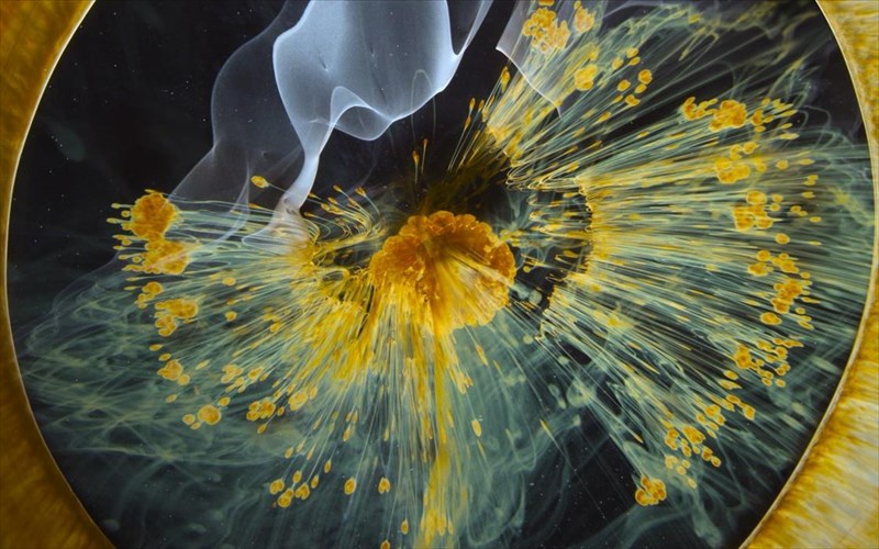 ena-ntokimanter-gia-ti-genesi-tou-sumpantos-sti-stegi