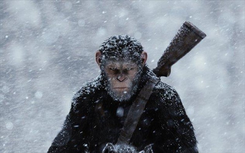 o-polemos-tis-anthropotitas-sunexizetai-ston-planiti-ton-pithikon