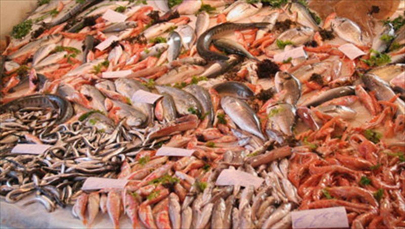 freska-psaria-pos-tha-ta-ksexorizoume