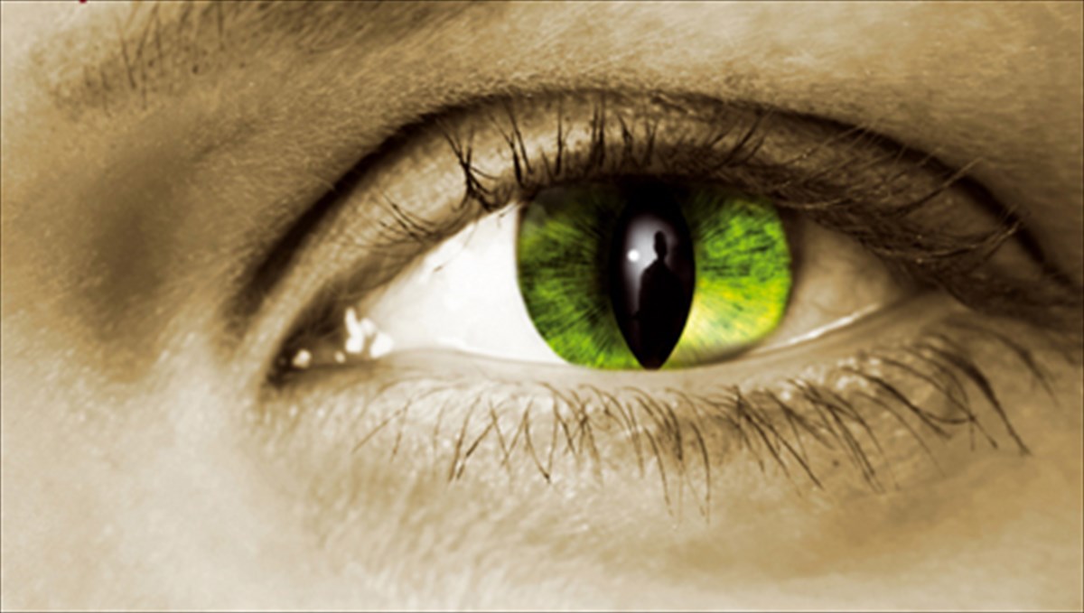 theories-sunomosias-me-galliki-finetsa