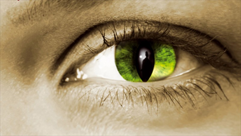 theories-sunomosias-me-galliki-finetsa