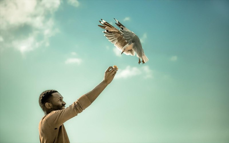 10kai1-protzekt-pou-fernei-to-4o-fast-forward-festival-entos-ki-ektos-stegis