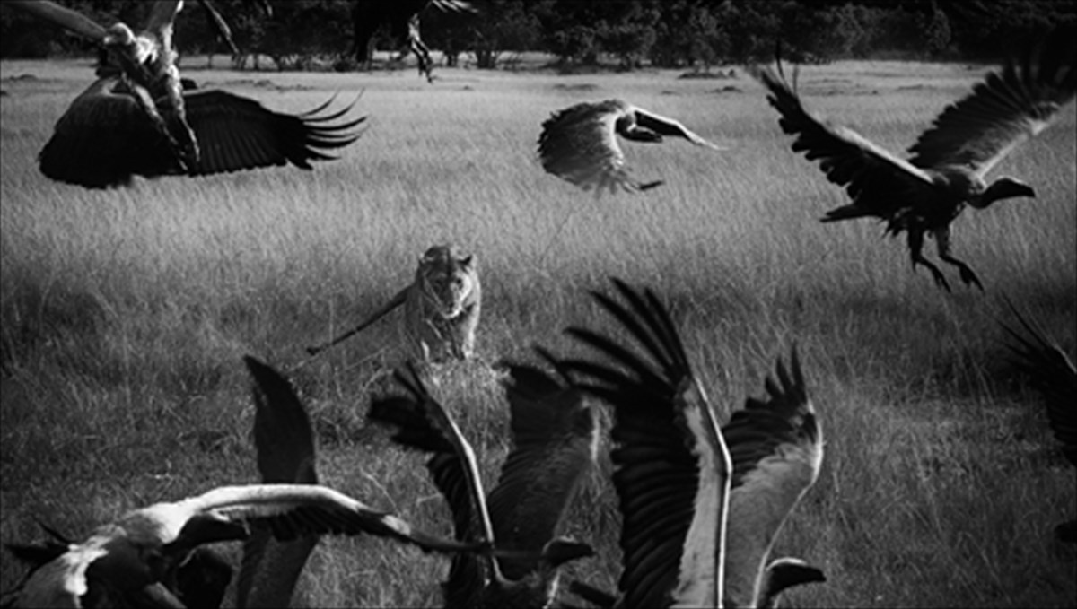 stin-korufi-tou-kosmou-o-ellinas-fotografos-nikolas-lotsos-ellinas-fotografos-nikolas-lotsos